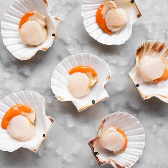 scallops