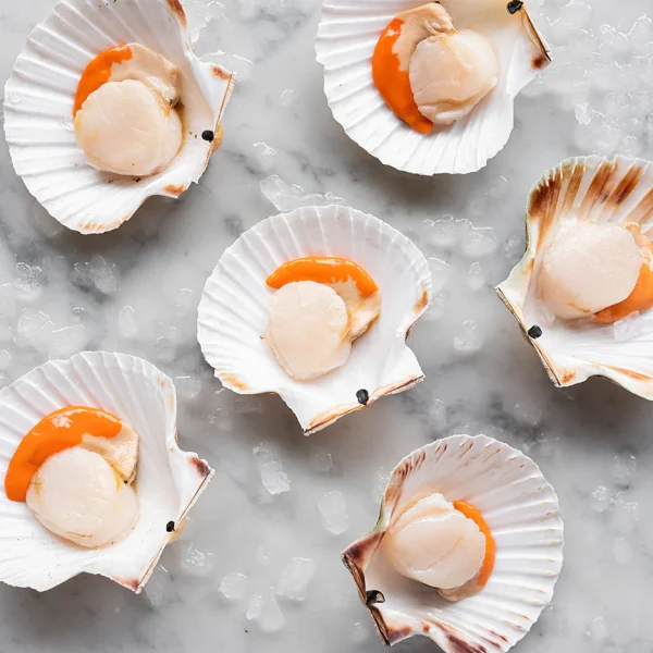 scallops-half-shall