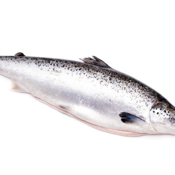 Whole-Poached-Salmon-67-Lb-3kg