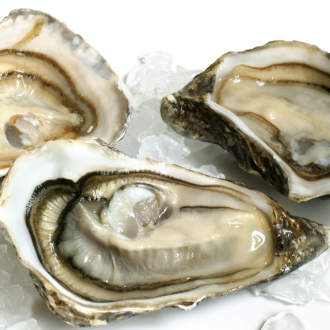 Oysters